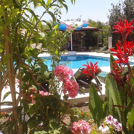 Aparthotel Paradise Garden Gumusluk Evleri Exterior foto