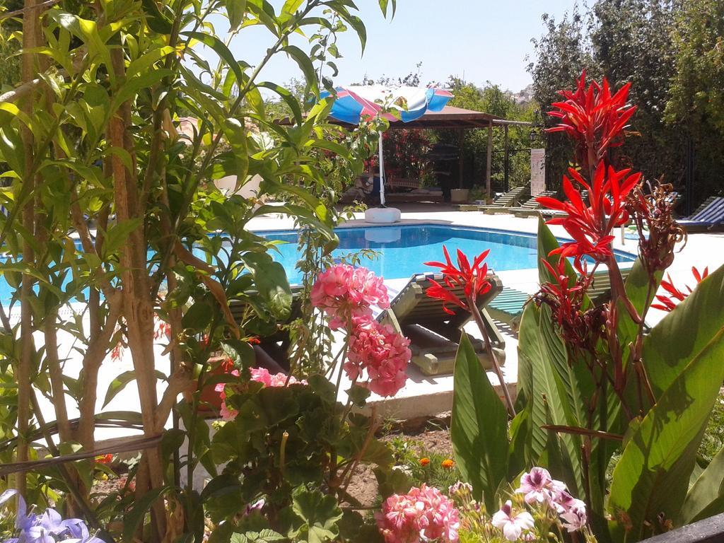Aparthotel Paradise Garden Gumusluk Evleri Exterior foto