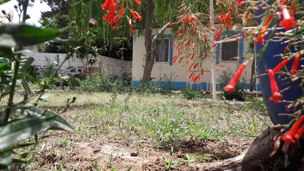 Aparthotel Paradise Garden Gumusluk Evleri Exterior foto