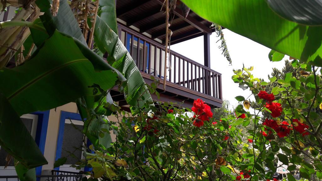 Aparthotel Paradise Garden Gumusluk Evleri Exterior foto